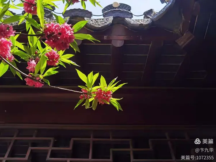 京韵苏风.意境宛园